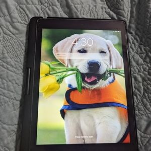 iPad air 2 16gb
